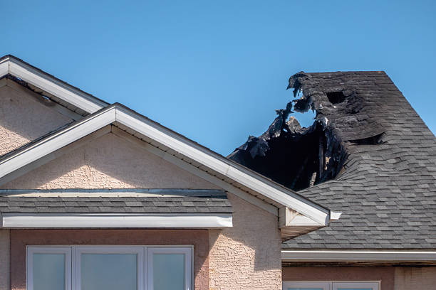 Top rated local Fire Damage Removal specialists in Lanham, MD